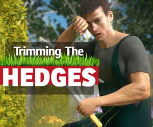 Trimming the Hedges